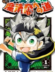 Asta’s Journey To Wizard King